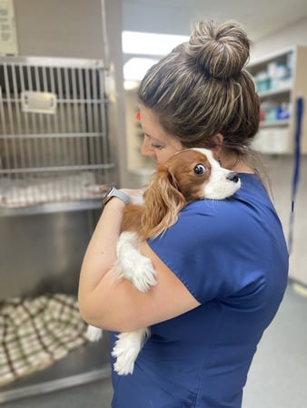 Images VCA Smoketown Animal Hospital