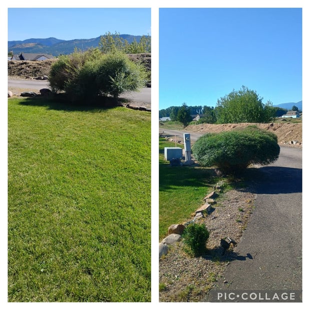 Images HJ Property Care & Tree Service