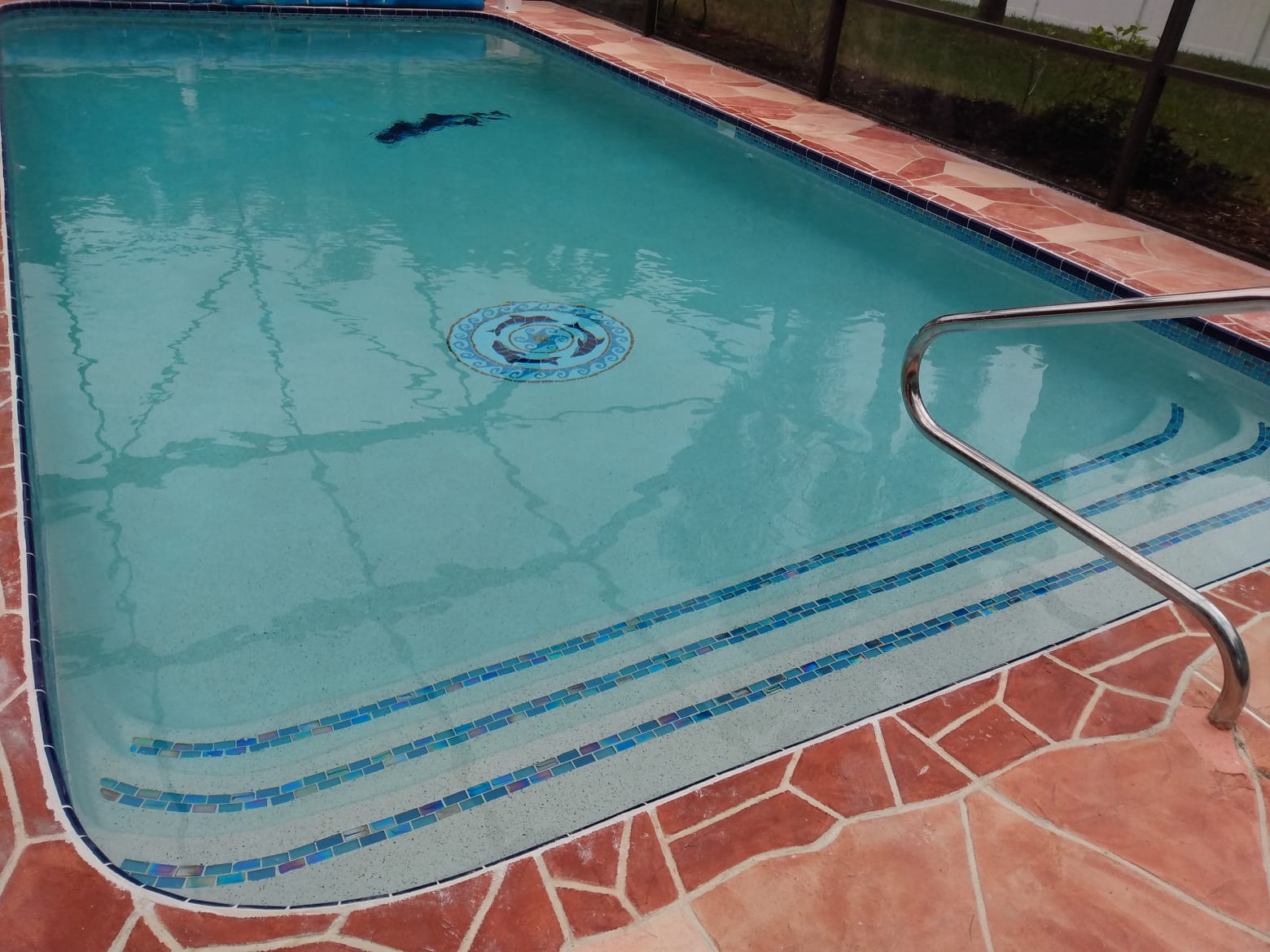 Residential swimming pool with built-in entry steps, blue tile accents, brick coping, and a stainless steel handrail.