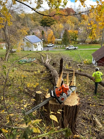 Images Ballston Tree and Property Services