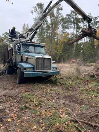 Images Magana Tree Service