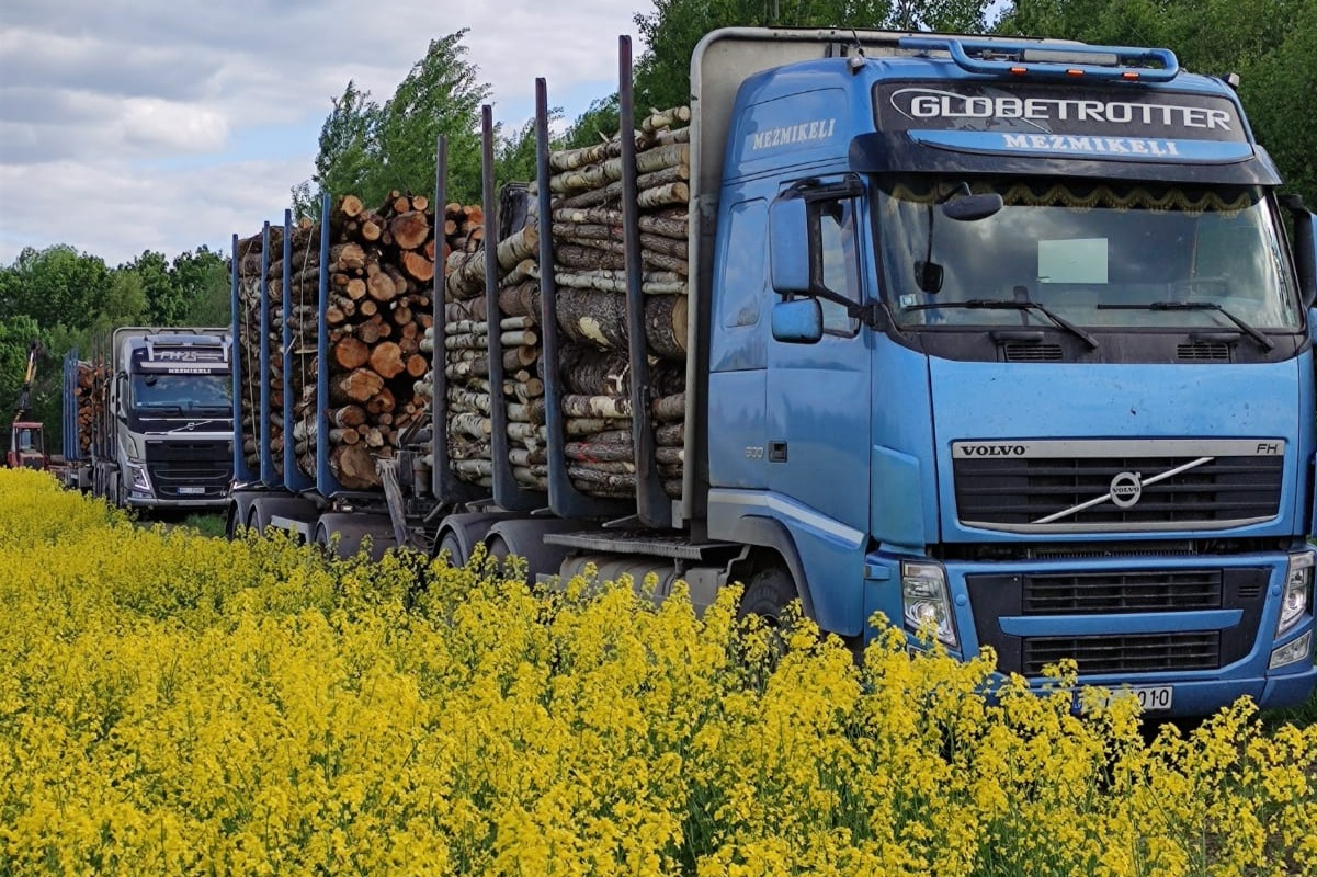 SIA Mežmiķeļi, veic dažādu kokmateriālu, tostarp malkas, papīrmalkas un zāģbaļķu, iepirkšanu krautuvē, nodrošinot klientiem izdevīgus nosacījumus.