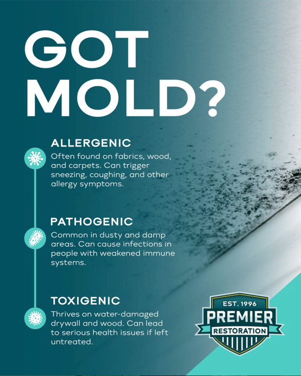 Images Premier Restoration