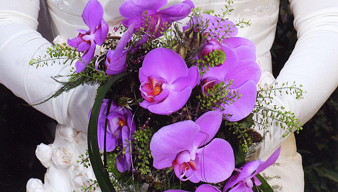 Blumenhaus Mäglin, Clarastrasse 50 in Basel