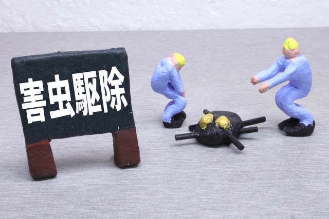 Images 関東駆除センター