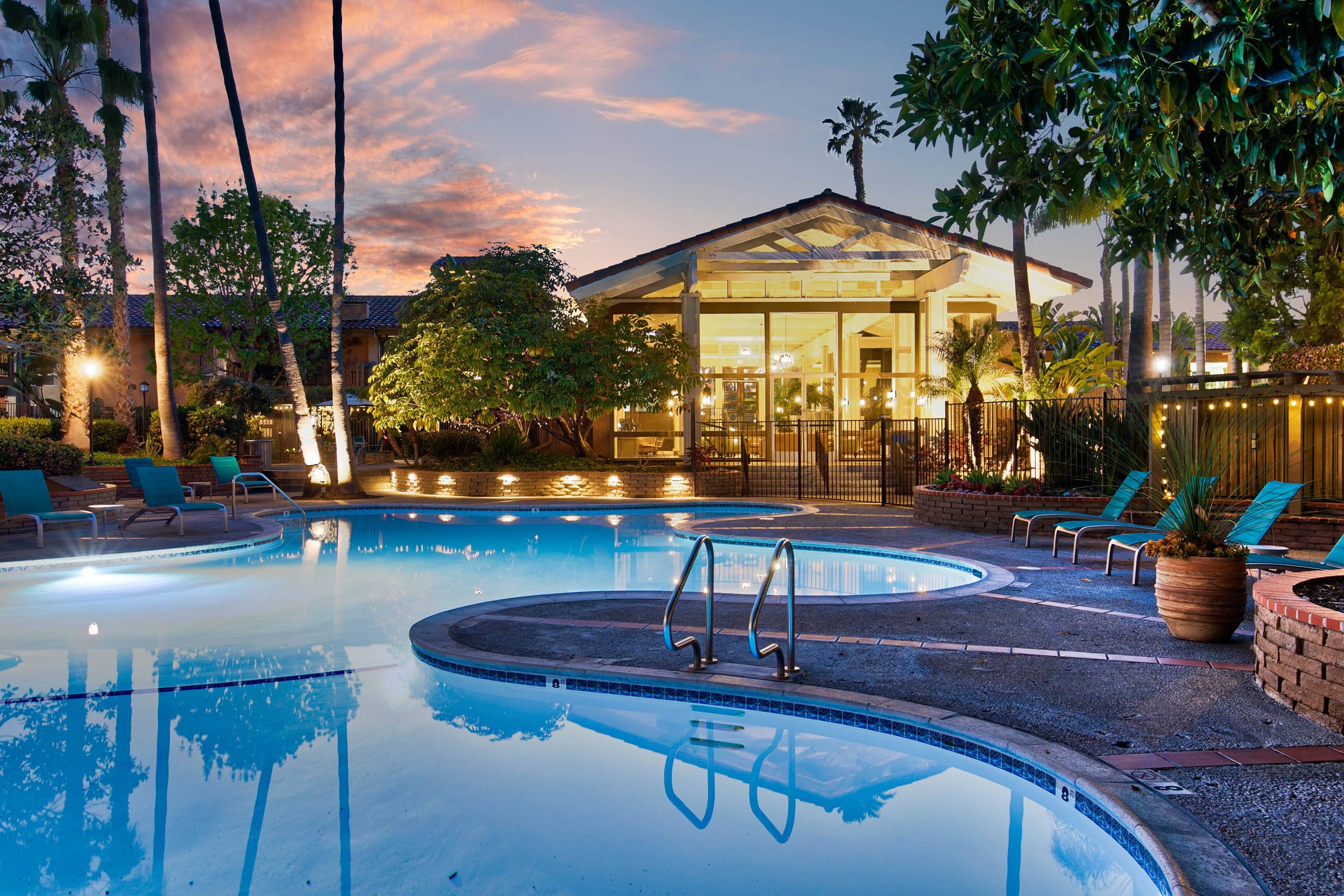 the pool at the flamingo resort and spa