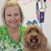 Lux Fur Pet Salon Image