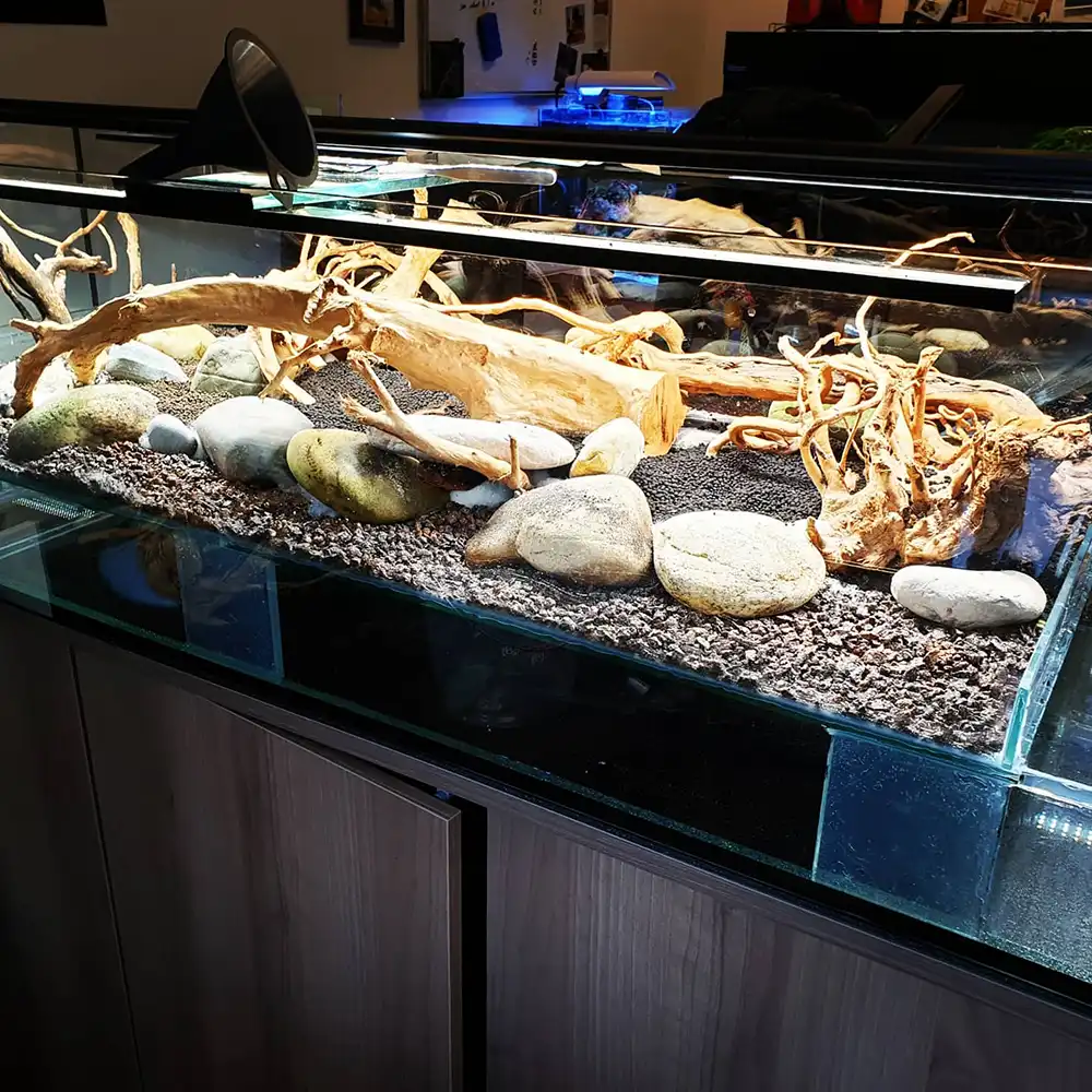 Bild 2 von Aquarium.Tirol