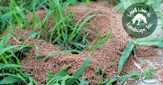 Images Lovell Lawn & Landscape Inc.