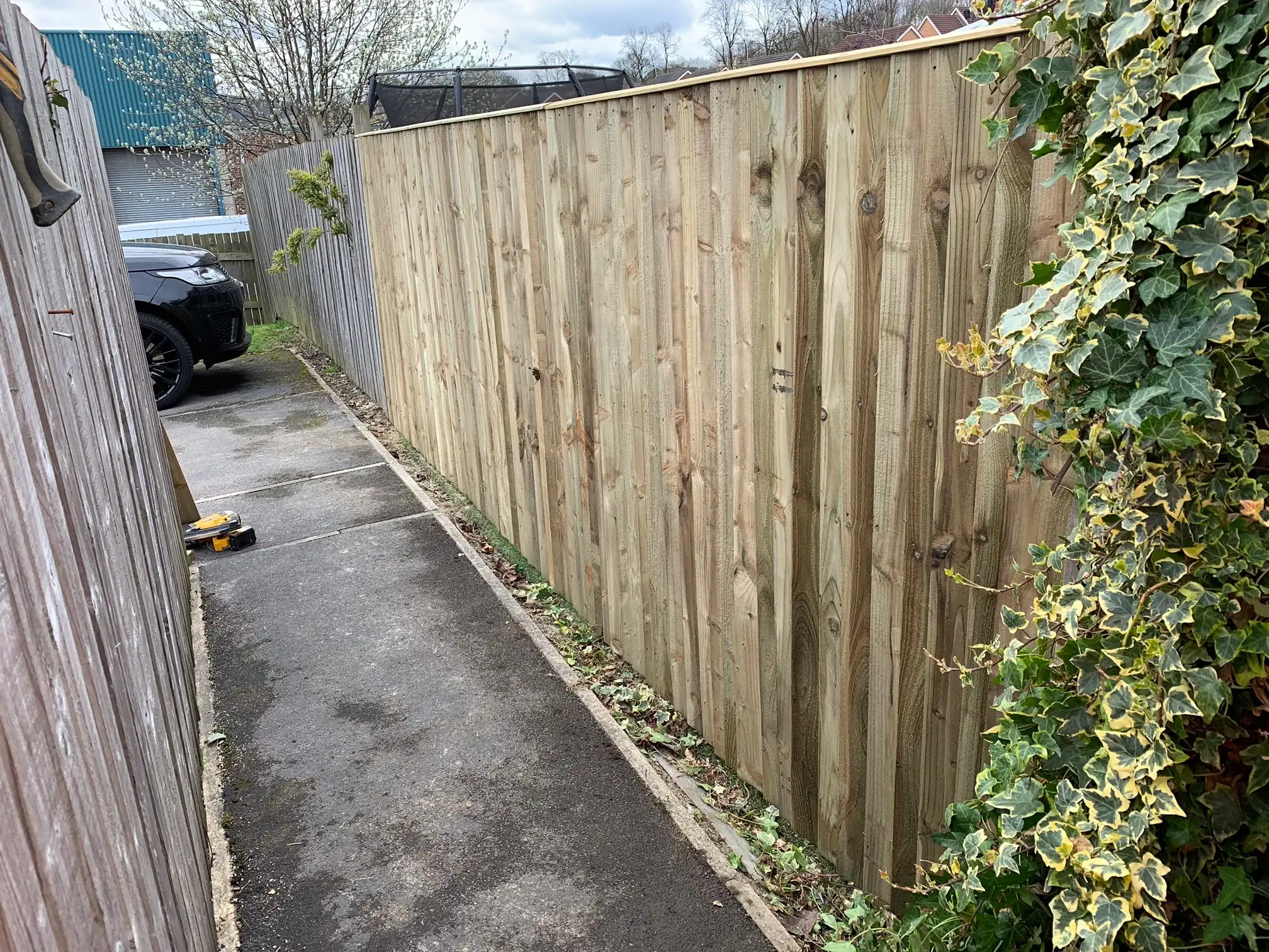 Images D & E Landscapes