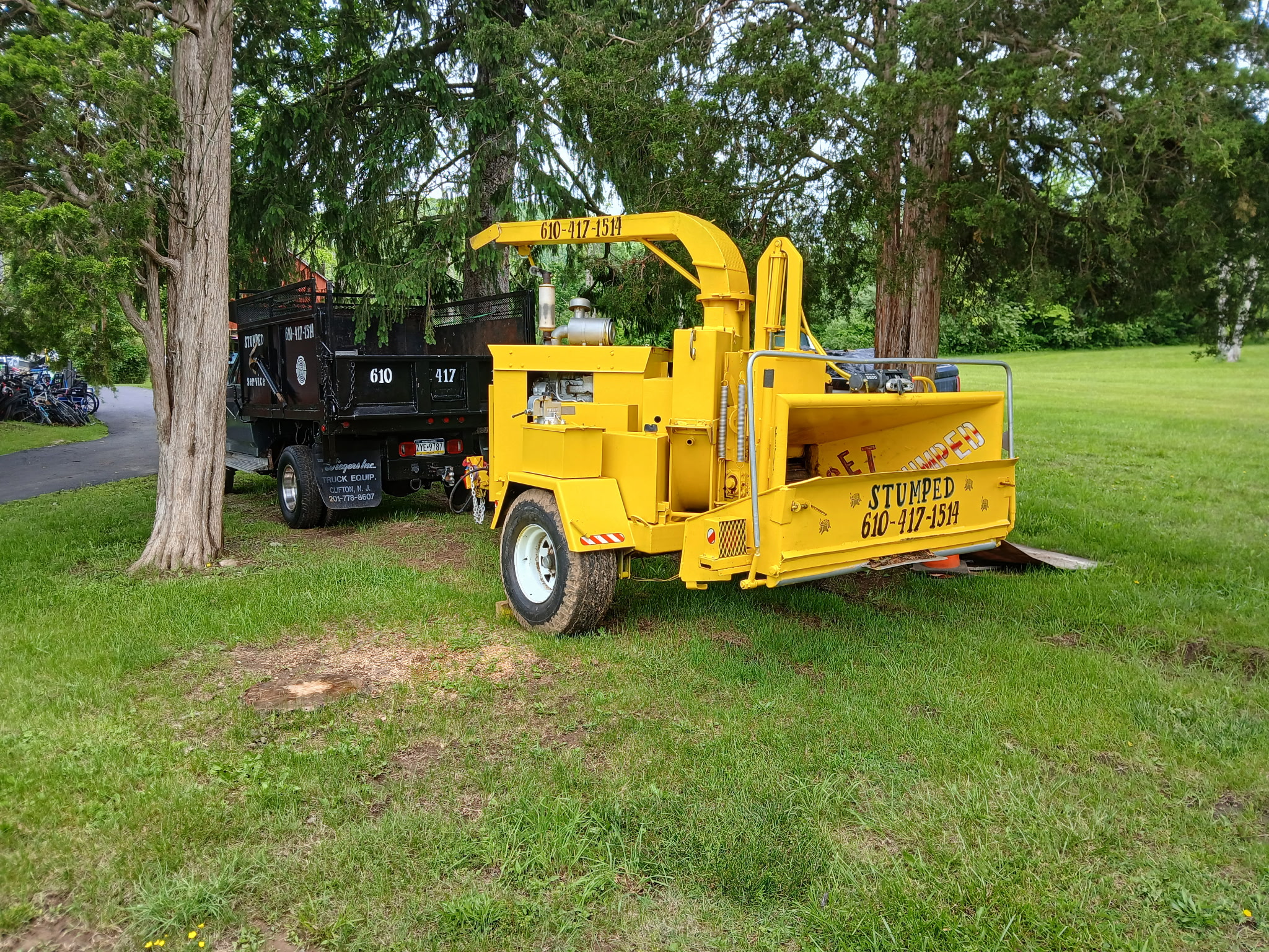 Stumped Tree Service Logo