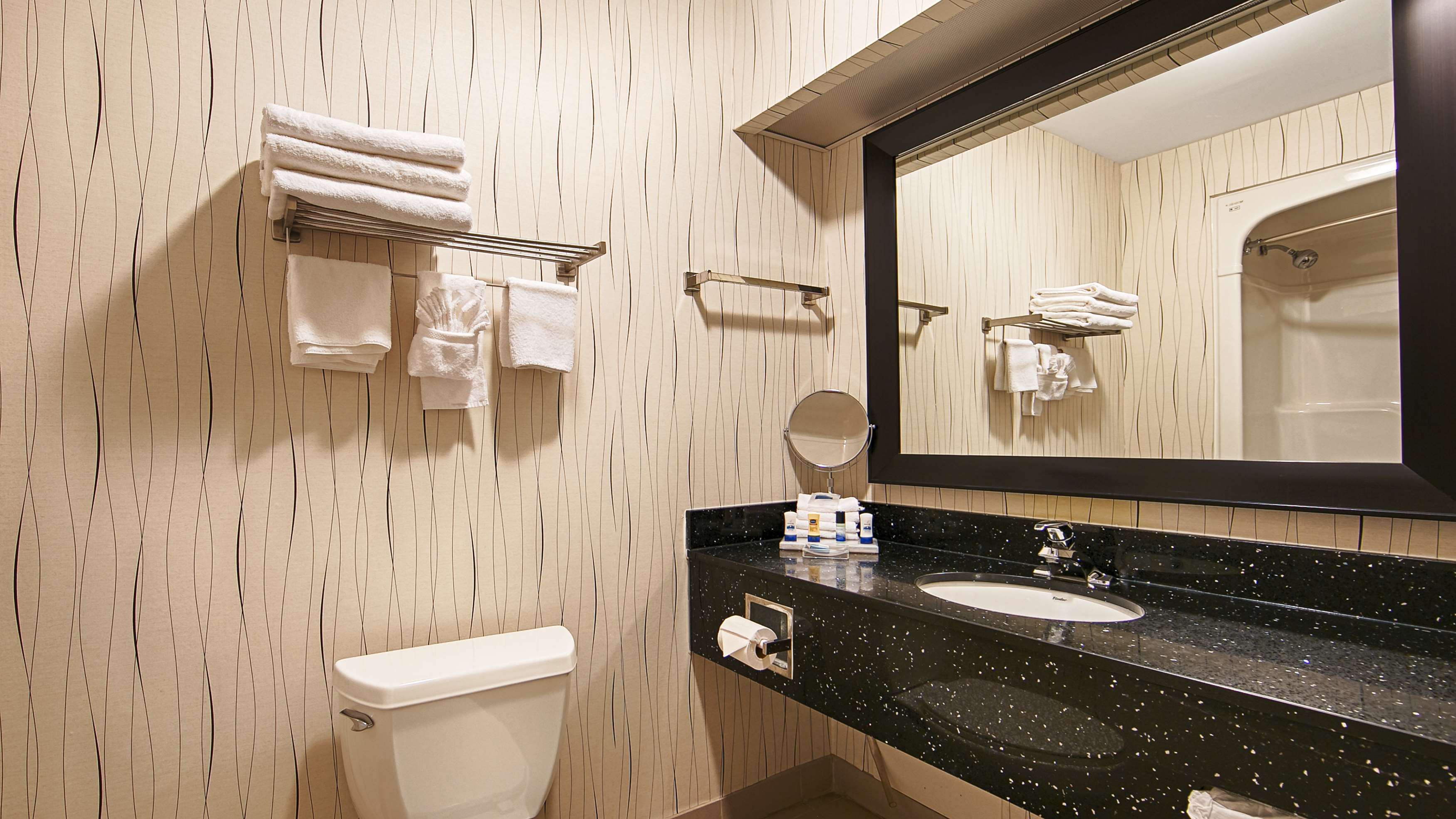 Best Western Plus Travel Hotel Toronto Airport in Toronto: Guest Bathroom