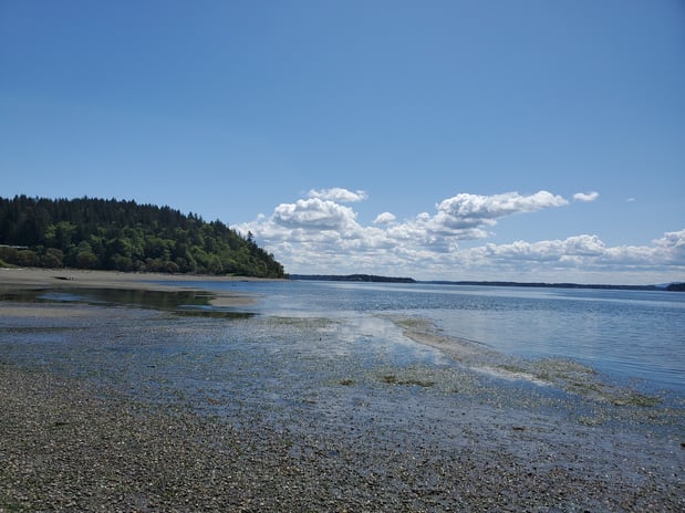 Images Kao Xiong - State Farm Insurance Agent