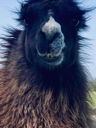 Images Valerie Bean - State Farm Insurance Agent