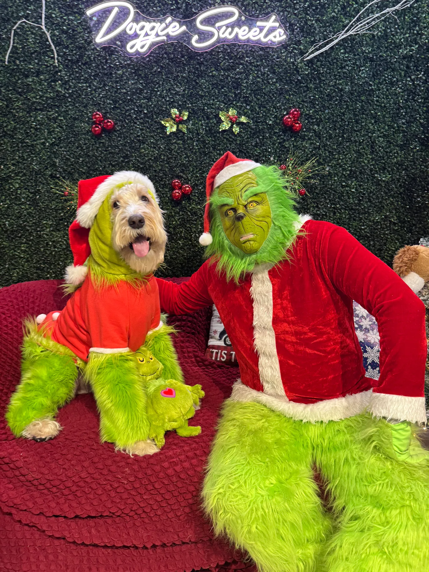 Image of Local Pet Event CAFE EVENT: Grinch Pictures Nearby