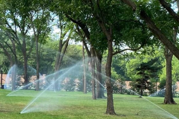 Images Plant Care, Commercial Landscape Maintenance