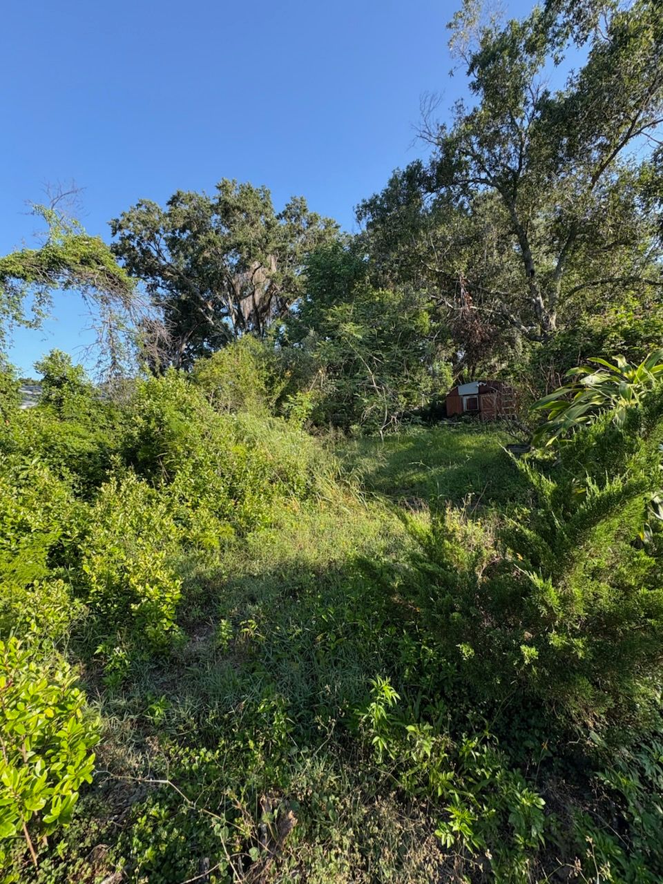 Americas Finest Land Clearing