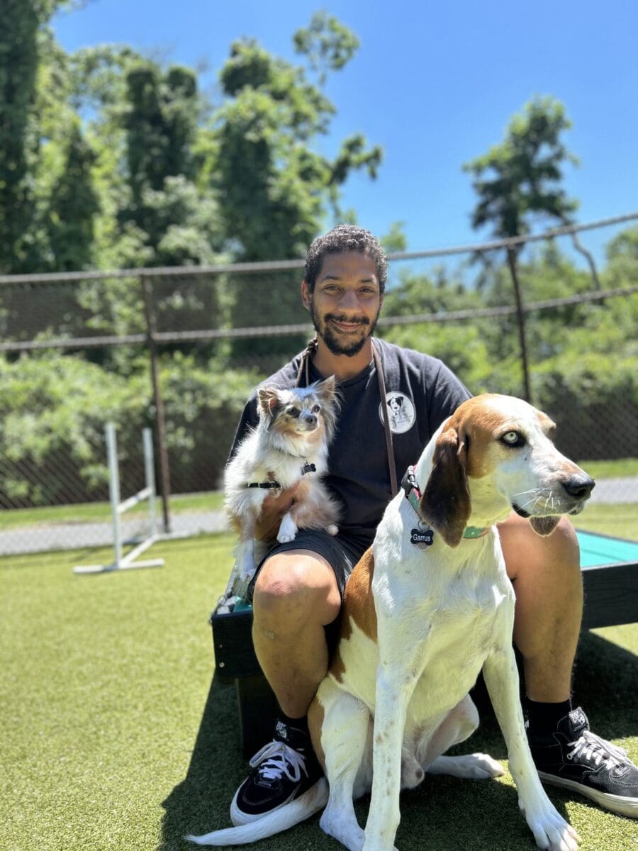 Dogs happy and being cared for with an Olde Towne Pet Resort employee