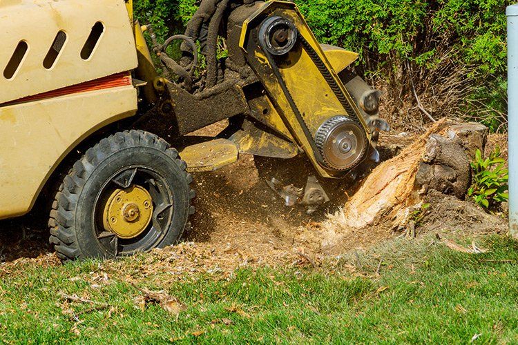 Images Grove Tree Service & Landscaping
