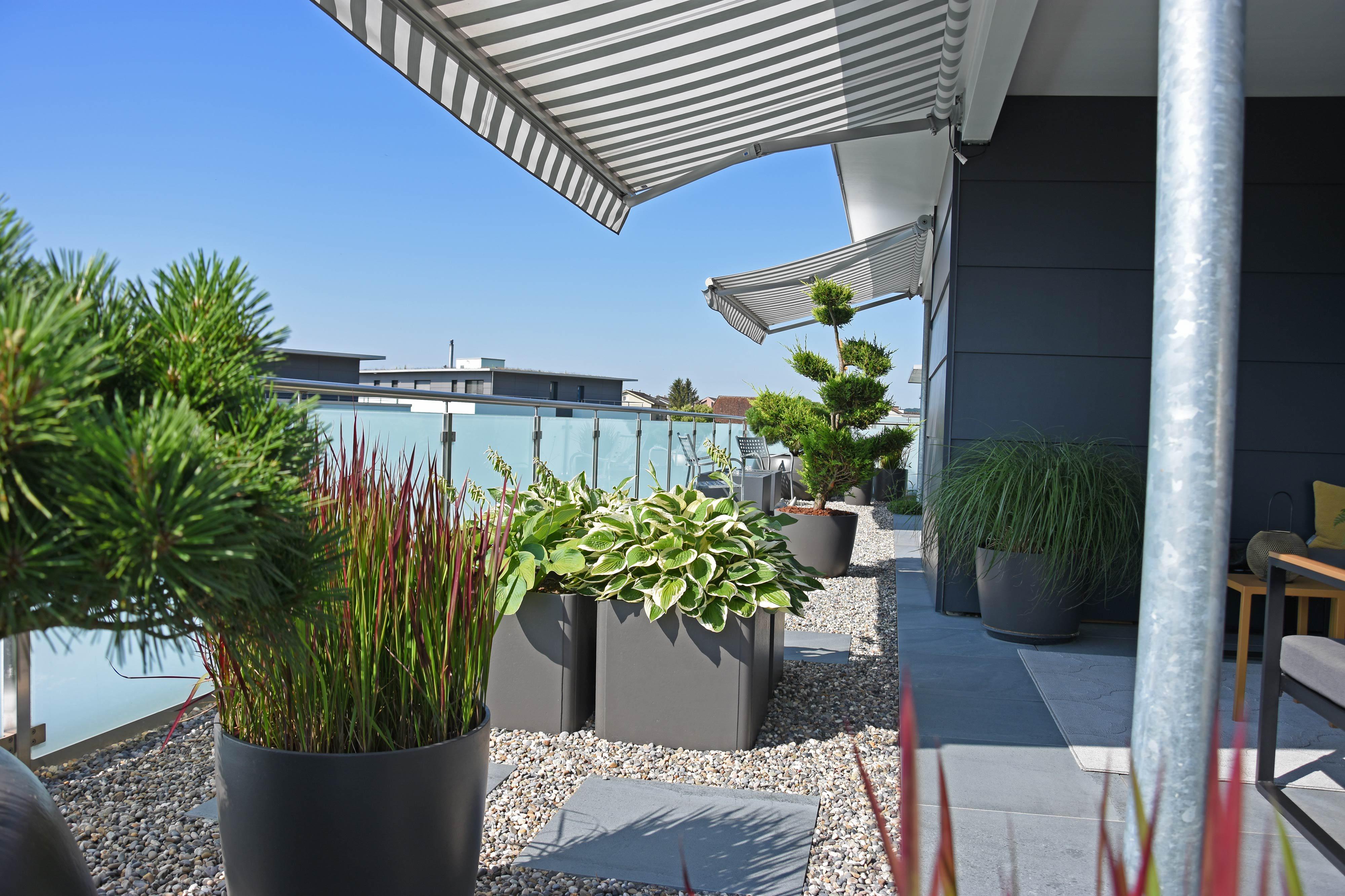 Bilder gartenbaumann AG