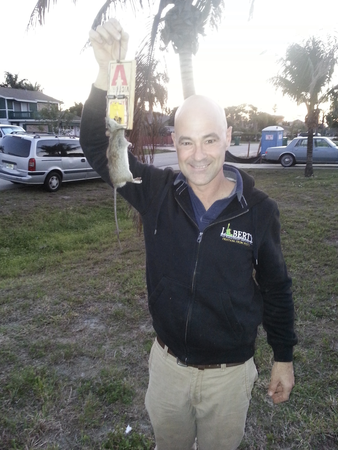 Images Pest Control of Naples