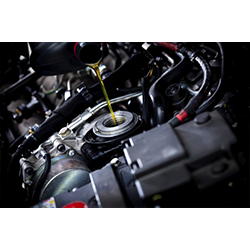 Images Express Auto Repair & Engine Exhange