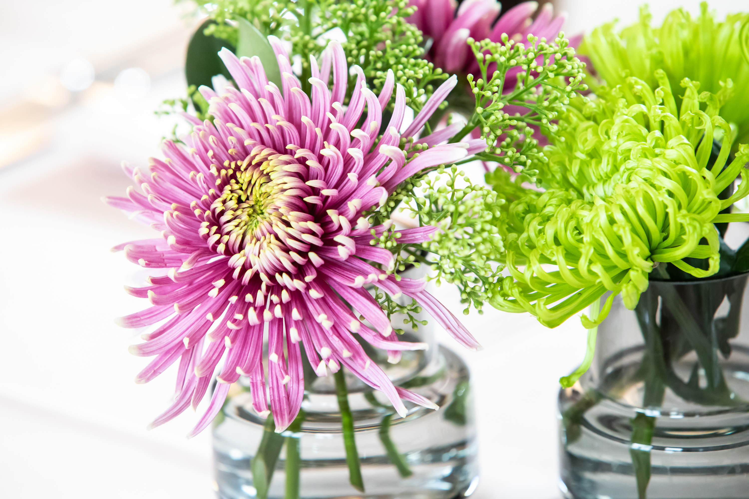 Fotografin für Businessfotografie, Portraitfotografie & Eventfotografie, Käppeligasse 22 in Riehen