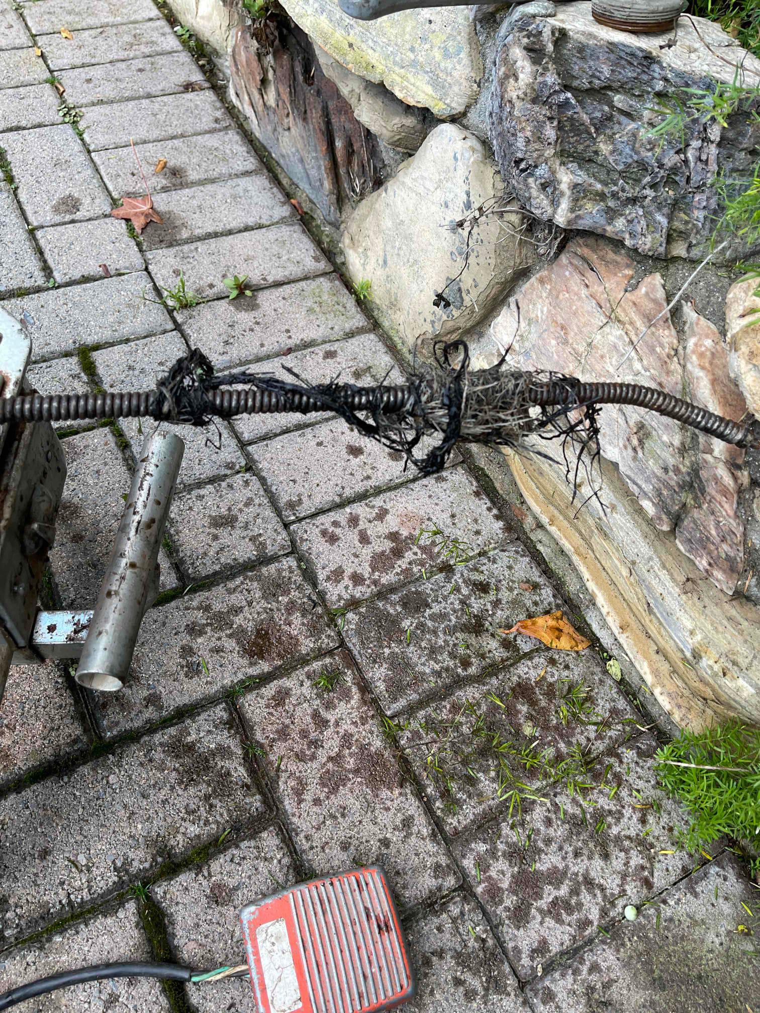 Team Rooter Plumbing - San Diego Image