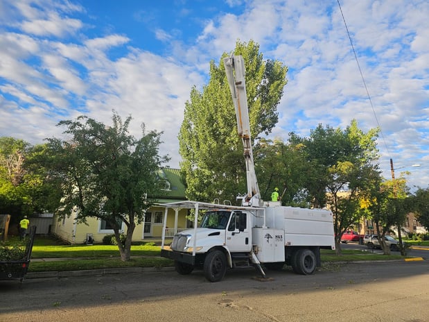 Images H & S Tree Care