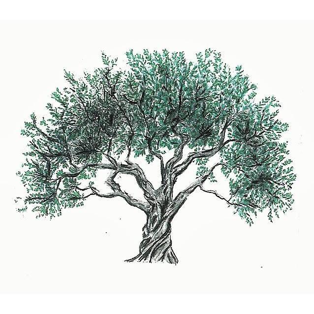 The Olive Orchard Logo