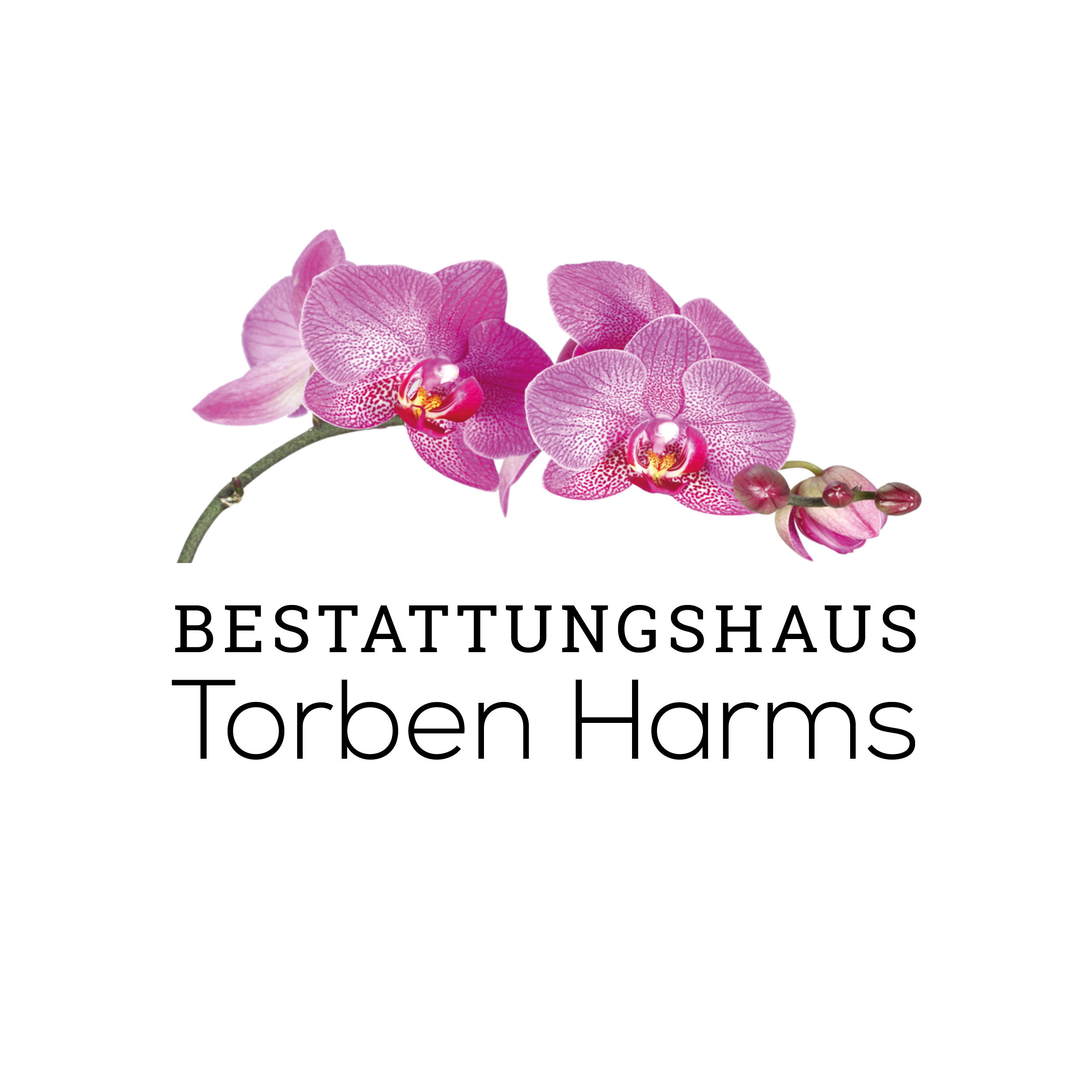 Bestattungshaus Torben Harms GmbH in Greifswald - Logo