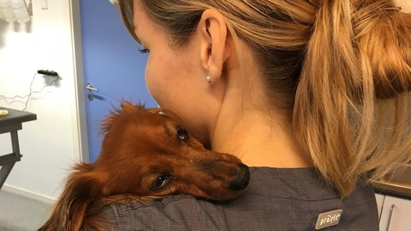 Images Aabybro Dyrehospital ApS