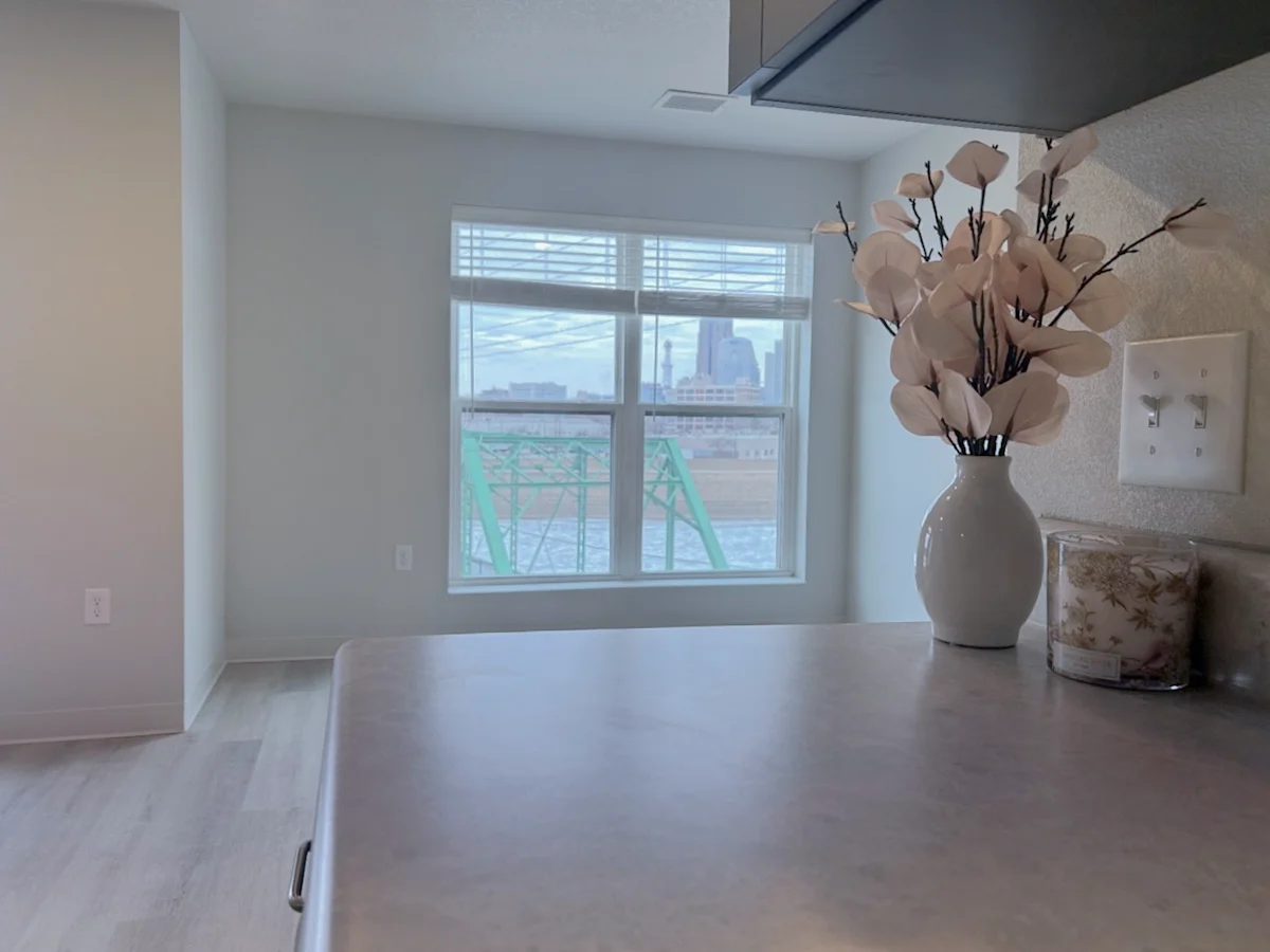 Kitchen view