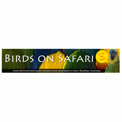 Birds On Safari