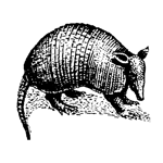Armadillo Construction Logo