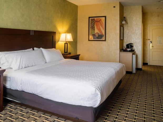 Images Holiday Inn Express & Suites Youngstown N (Warren/Niles) by IHG