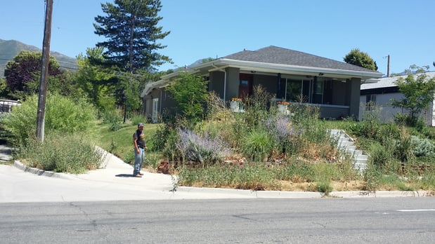 Images Larry's Lawn & Services
