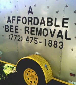 Images Affordable Bee Removal Service
