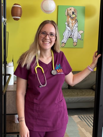 Images PetVet365 Pet Hospital Louisville/Anchorage