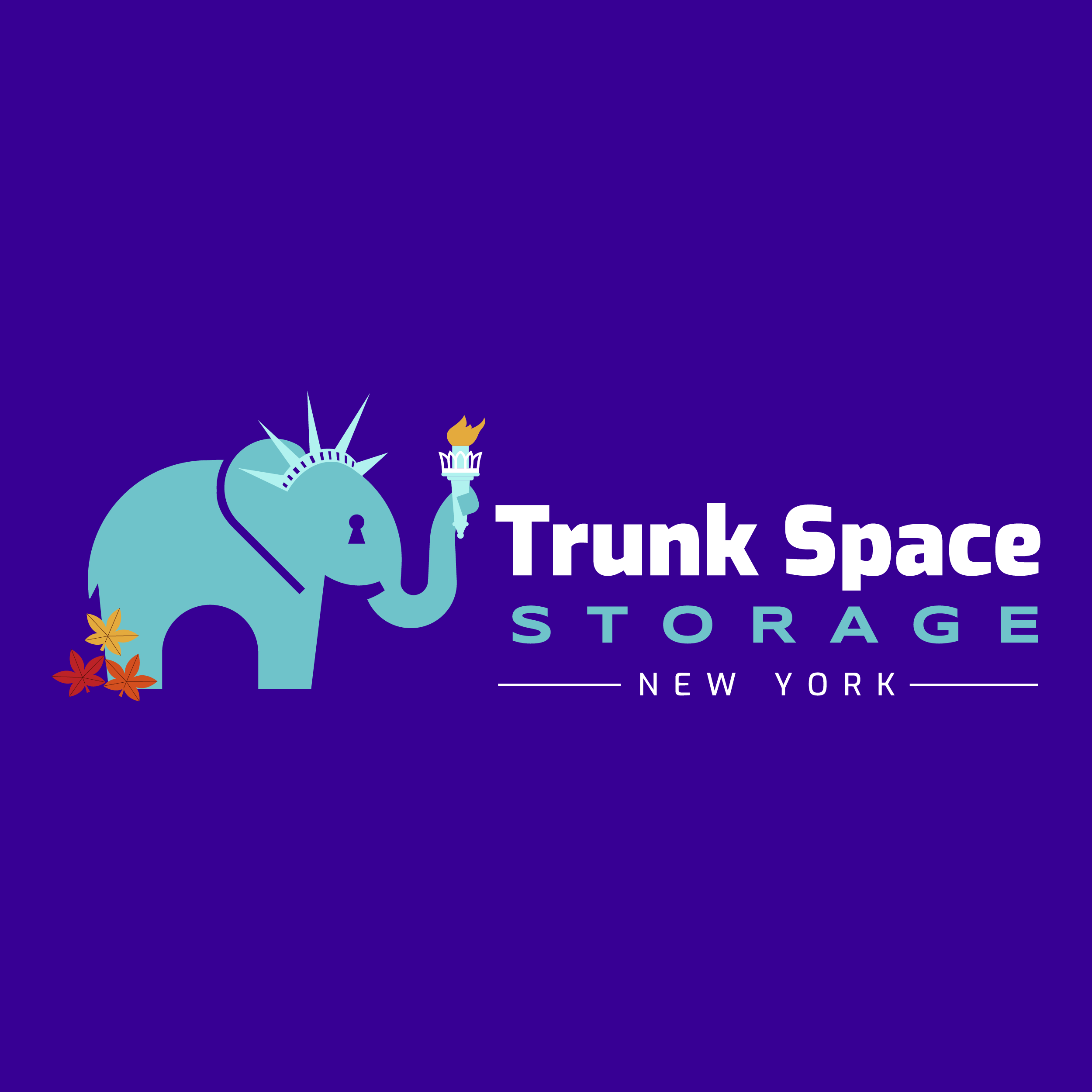 Trunk Space Storage
