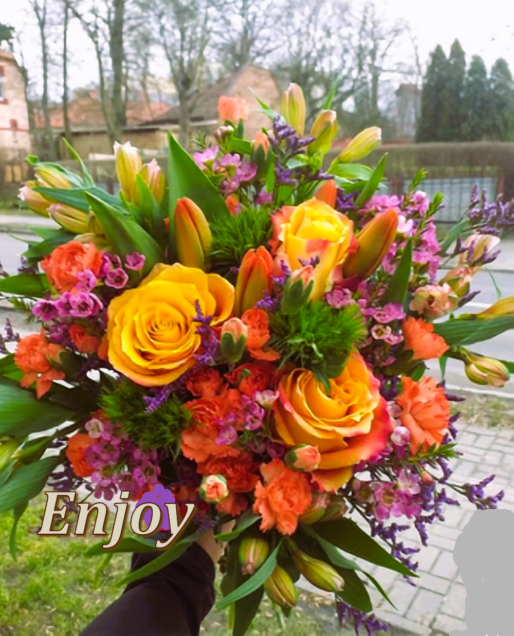 Images Blooms and Botanicals
