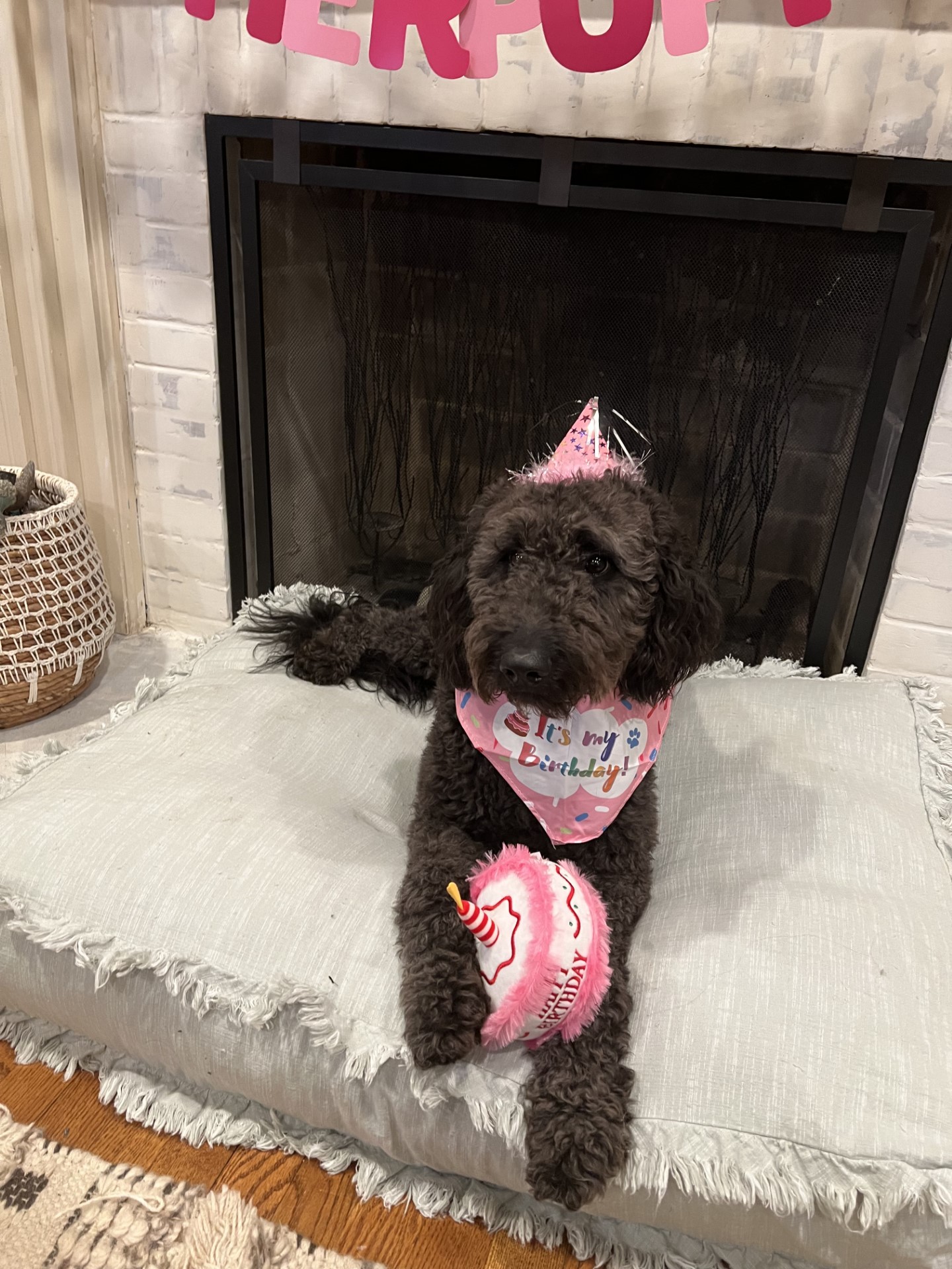 Auto Insurance In Greenville SC