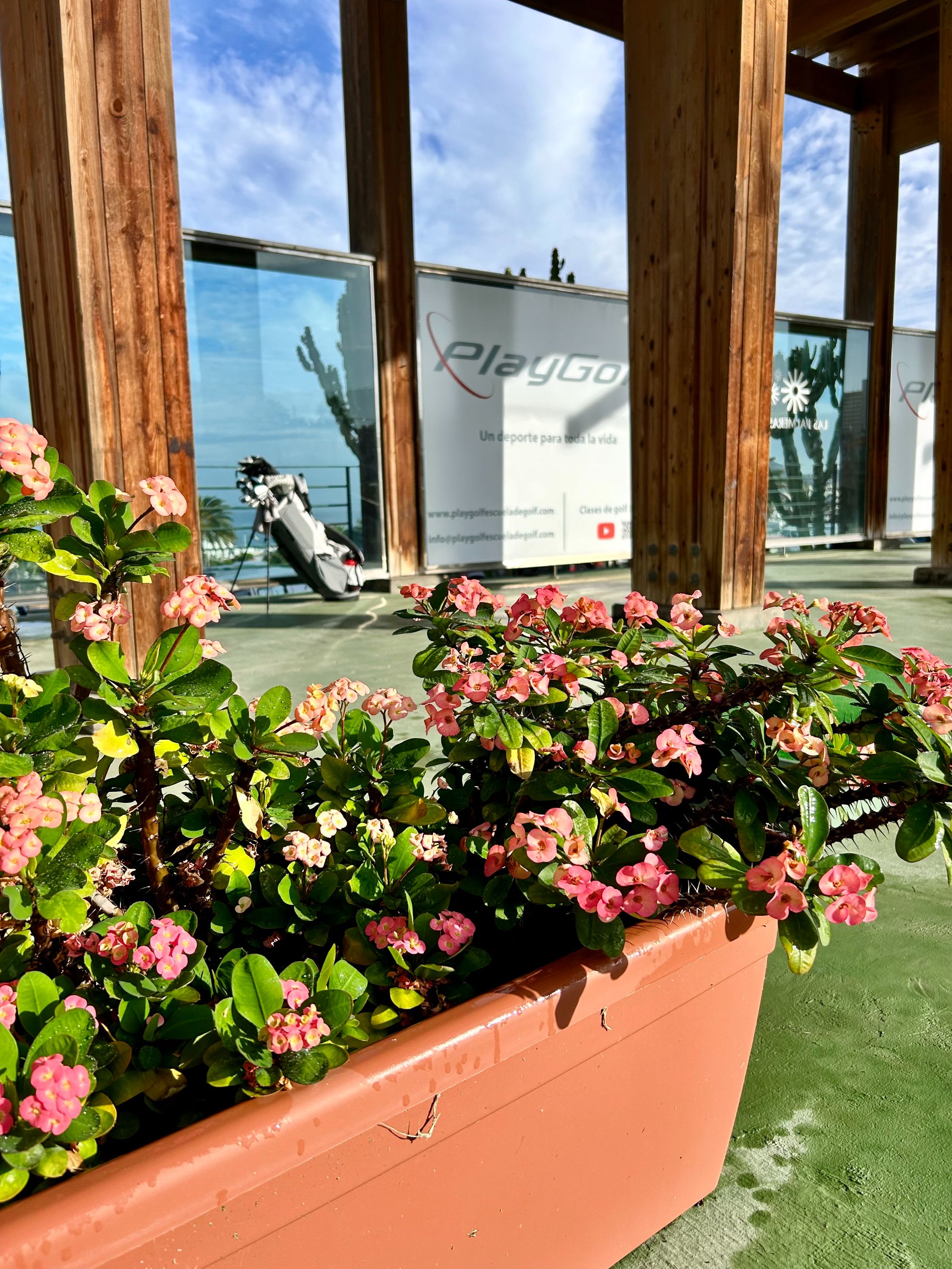 Images Playgolf rendimiento deportivo y salud