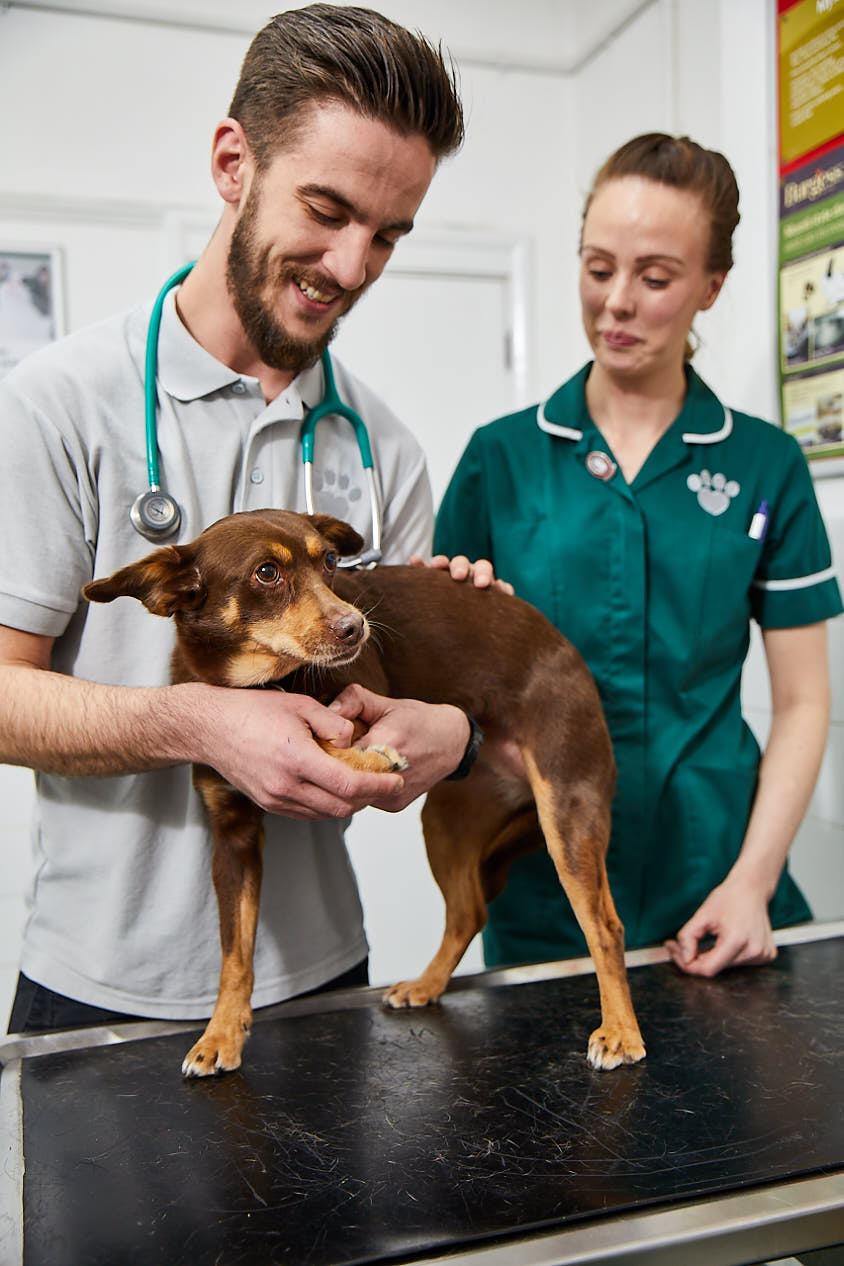 Images Broughton Veterinary Group, Leicester