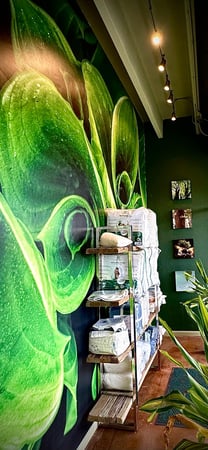 Images Austin Natural Mattress
