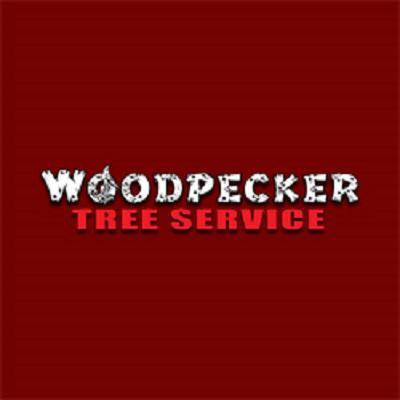 Woodpecker Tree Service Logo