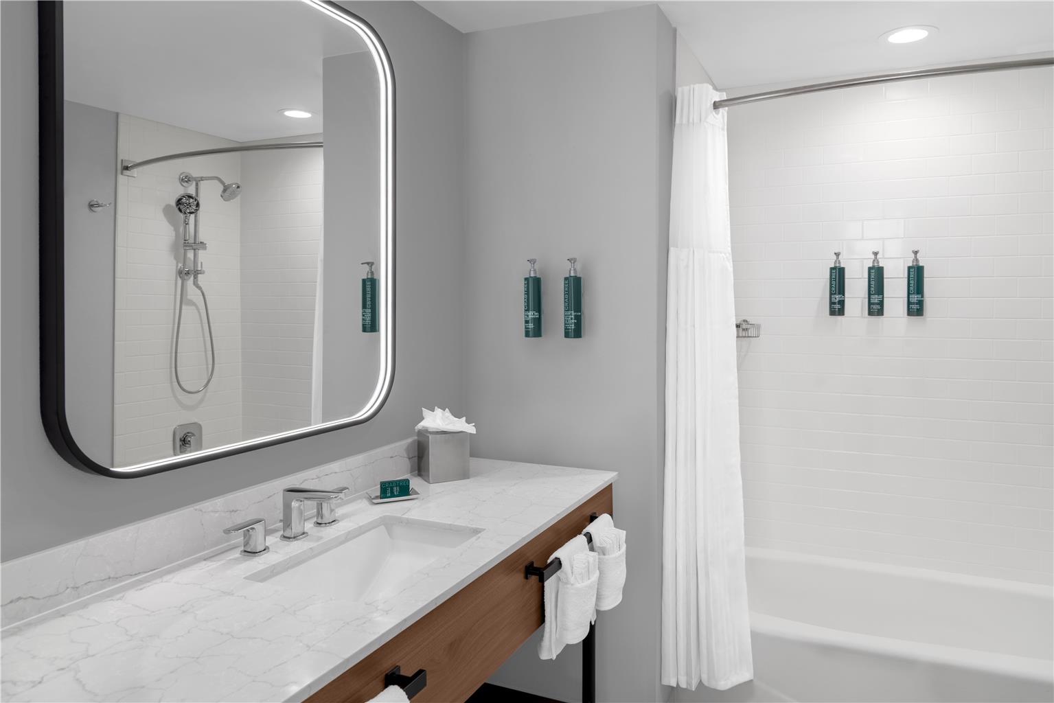 Guest room bath 