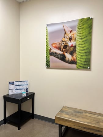 Images Vetco Total Care Animal Hospital