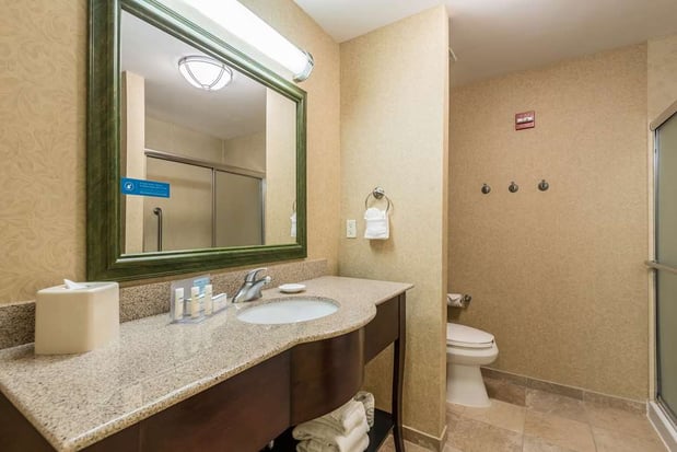 Images Hampton Inn & Suites Orlando-South Lake Buena Vista