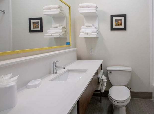 Images Hampton Inn & Suites Lafayette